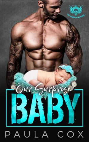 Cover of the book Our Surprise Baby by Claire St. Rose
