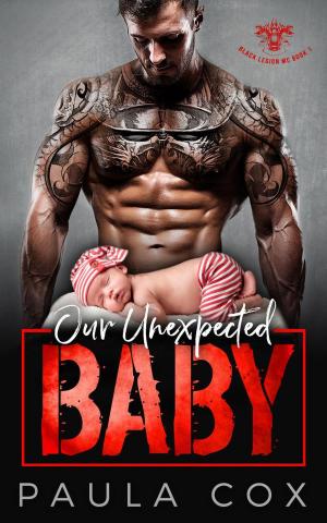 Cover of the book Our Unexpected Baby by Janis Susan May