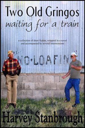 Cover of the book Two Old Gringos Waiting for a Train by Andy McKell