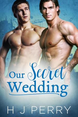 Cover of the book Our Secret Wedding by H J Perry
