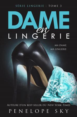 Book cover of Dame en Lingerie
