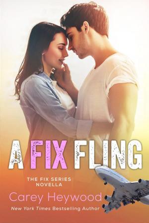 Book cover of A Fix Fling
