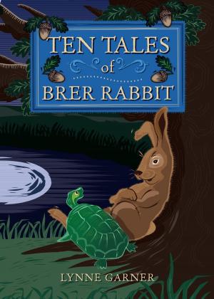Cover of the book Ten Tales of Brer Rabbit by DA TOP Children Books, John Prost