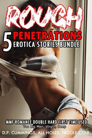 Book cover of Rough Penetrations 5 Erotica Stories Bundle MMF Romance Double Hard First Time Used
