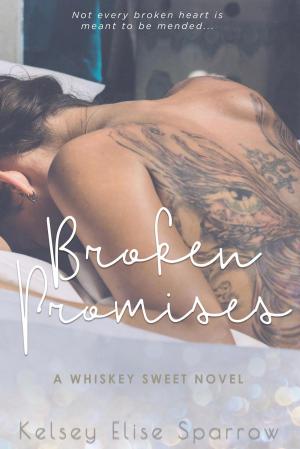 Cover of the book Broken Promises by M.J. Carey