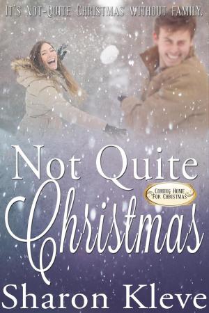 Cover of the book Not Quite Christmas by Sharon Kleve