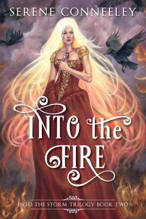 Book cover of Into the Fire