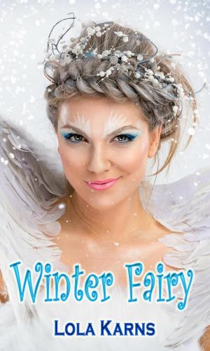 bigCover of the book Winter Fairy by 