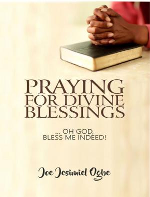 Cover of the book Praying For Divine Blessings: ... Oh Lord, Bless Me Indeed by Steve Copland