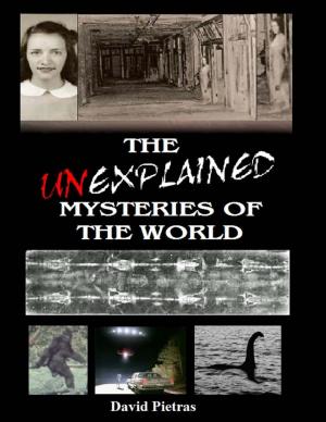 Cover of the book The Unexplained Mysteries of The World by W.G. Davis