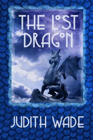 Cover of the book The Lost Dragon by Aidan Red