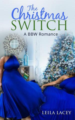 Cover of the book The Christmas Switch by Angee Parker