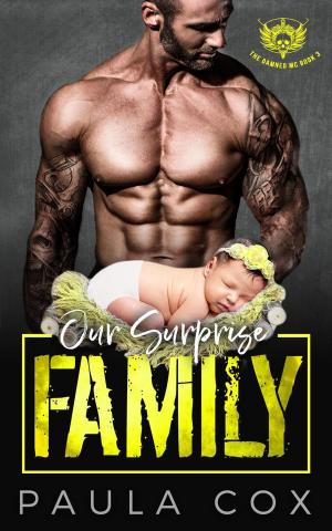 Cover of the book Our Surprise Family by Sophia Hampton