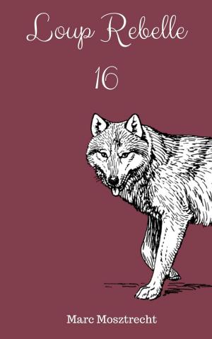 bigCover of the book Loup Rebelle 16 by 