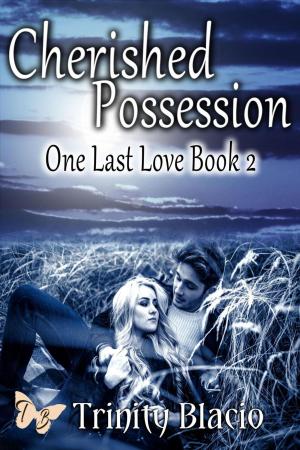 Book cover of Cherished Possession