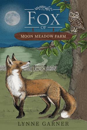 Cover of the book Fox of Moon Meadow Farm by Matthew Tonks