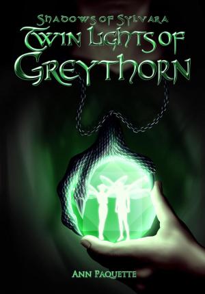 bigCover of the book Twin Lights of Greythorn by 