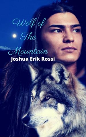 bigCover of the book Wolf of The Mountain by 