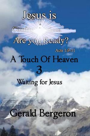 Cover of A Touch of Heaven 3