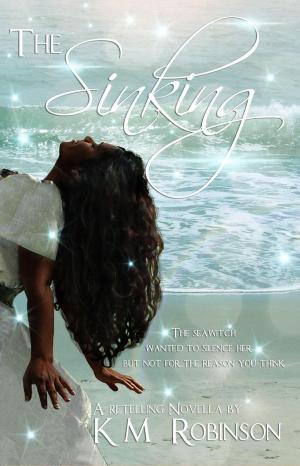 Cover of the book The Sinking by Sherryl Jordan