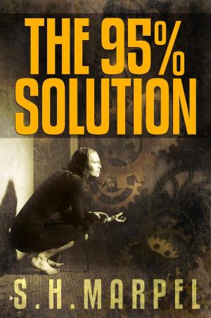 Cover of the book The 95% Solution by S. H. Marpel