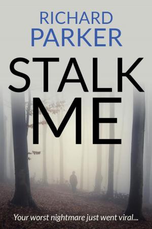 Cover of the book Stalk Me by Karen Lowe