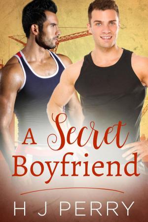 Cover of the book A Secret Boyfriend by H J Perry