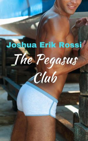 Cover of the book The Pegasus Club by Stuart Aken