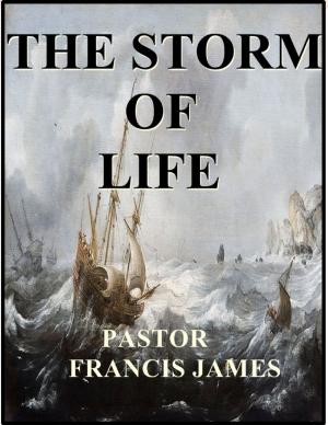 Cover of the book The Storm of Life by Charlie The Time Traveler