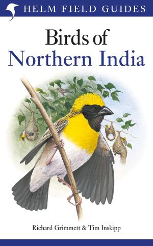 Book cover of Birds of Northern India