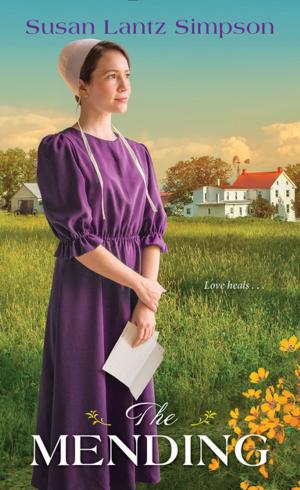 Cover of the book The Mending by Sarah Brophy