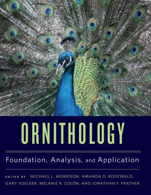 Cover of the book Ornithology by Brian Swann