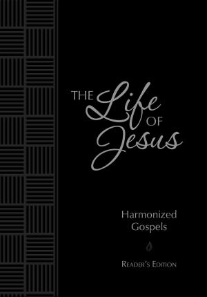 Cover of the book The Life of Jesus by Danita Bye