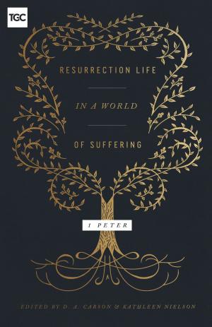 Book cover of Resurrection Life in a World of Suffering