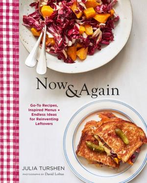 Cover of the book Now & Again by Elinor Klivans