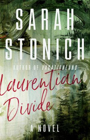 Cover of the book Laurentian Divide by Aaron Jaffe