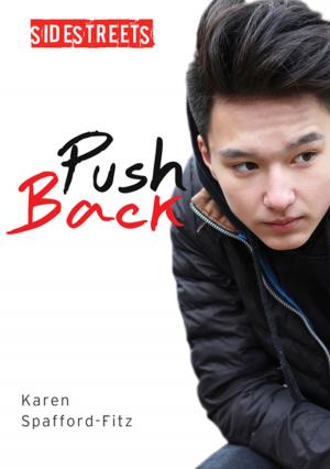 Cover of the book Push Back by Ted Palys, John Lowman