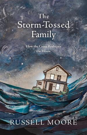 Book cover of The Storm-Tossed Family