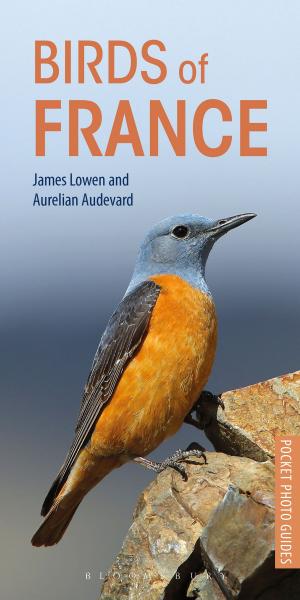 bigCover of the book Birds of France by 