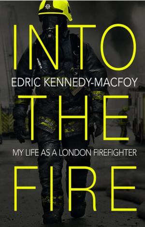 Cover of the book Into the Fire by Tim Smit