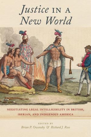 Cover of the book Justice in a New World by Kenneth De Ville