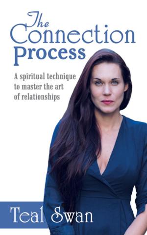 Cover of the book The Connection Process by Lyric Nolan