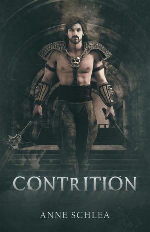 Book cover of Contrition