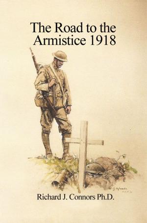 Book cover of The Road to the Armistice 1918