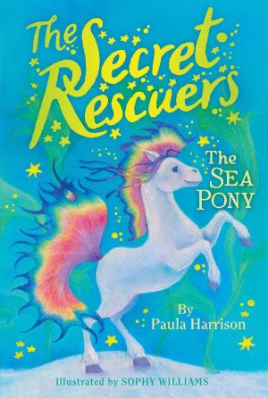 Cover of the book The Sea Pony by Franklin W. Dixon