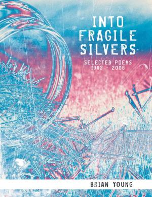 Cover of the book Into Fragile Silvers: Selected Poems 1983 – 2006 by David Wingate