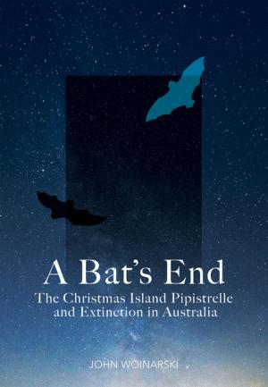 Cover of the book A Bat's End by Penny Olsen