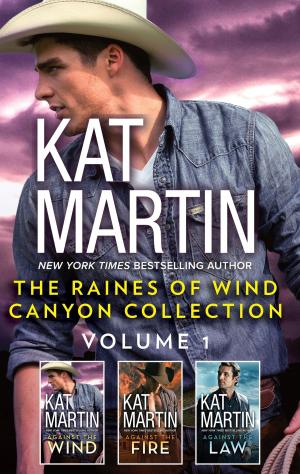 Cover of the book The Raines of Wind Canyon Collection Volume 1 by Erica Spindler