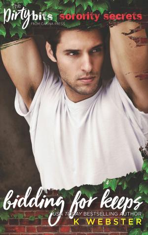 Cover of the book Bidding for Keeps by Annabeth Albert