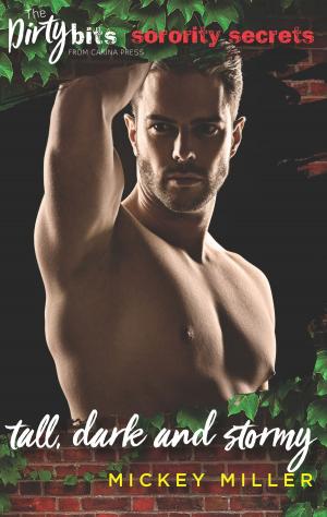 Cover of the book Tall, Dark and Stormy by Jade Chandler